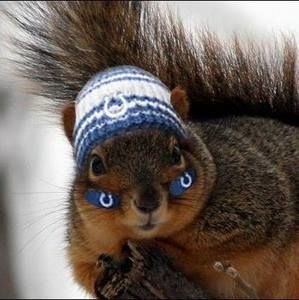 Meet your Posher, Todd